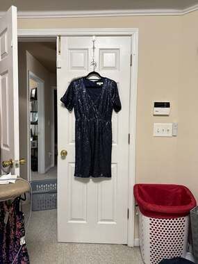 Francesca's Navy Blue Sequin Short Sleeve V-Neck Mini Dress